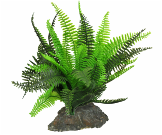 Lucky Reptile Fern cca 25 cm