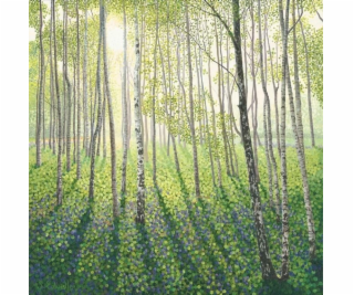 Susan Entwistle Pass s břízovou lesní obálkou