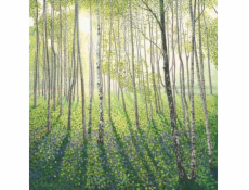 Susan Entwistle Pass s břízovou lesní obálkou