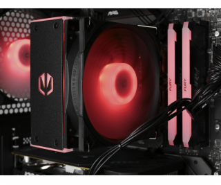 Actina 5901443406112 PC AMD Ryzen™ 7 7700 32 GB DDR5-SDRA...