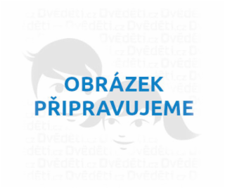 Bigjigs Katalog hraček 2025