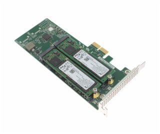 Fujitsu Raid Cable Kit / Raid Card Specific 