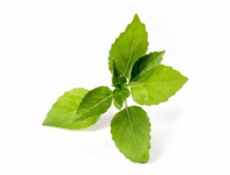 Véritable Lingot Citronová bazalka - BIO
