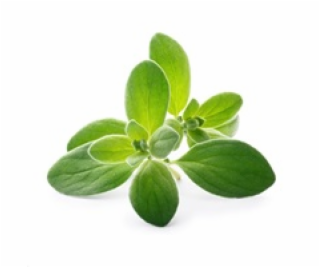 Véritable Lingot Majoránka - BIO