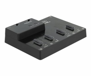 Delock - Dokovací stanice SSD - oddílů: 4 - M.2 - M.2 NVM...