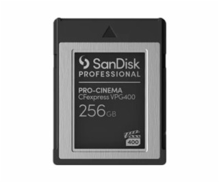 SanDisk - Paměťová karta flash - 256 GB - CFexpress typu ...