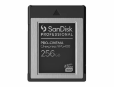 SanDisk - Paměťová karta flash - 256 GB - CFexpress typu B - černá