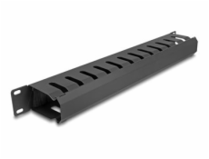 Delock - Kabel vedení pro správu kabelu ve skříni - s kartáčem, 2 otvory - černá - 1U - 19 