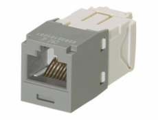 Panduit MINI-COM TX6 Plus - Modul - CAT 6 - UTP - mezinárodní šedá - 1 port