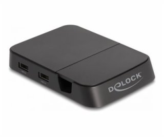 Delock - Dokovací stanice - USB-C / Thunderbolt 3 - HDMI