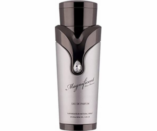 Armaf ARMAF MAGNIFICENT (M) EDP/S 100ML
