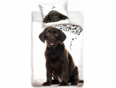 Carbotex Povlečení pro psy Labrador 160x200 Carbotex
