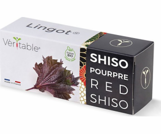 Véritable Lingot Fialový shiso - BIO