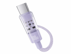 Baseus Gem Rychlonabíjecí kabel USB C na USB C 2 m 100 W Fialová