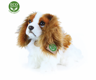 Rappa Plyšový pes king charles španěl 25 cm