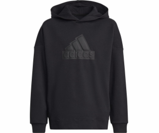 Mikina Adidas adidas FI Logo HD Jr HR6301