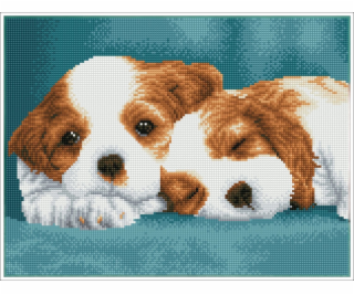 DIAMOND DOTZ Diamantové vyšívání Diamond Dotz Diamantová ...