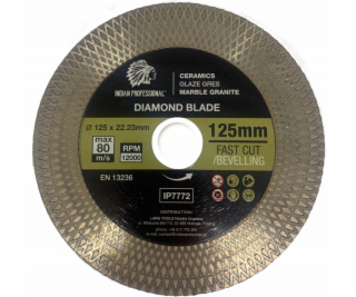 INDICKÁ PROFESIONÁLNÍ DIAMANTOVÁ ČEPEL 125 mm x 1,9 mm x ...