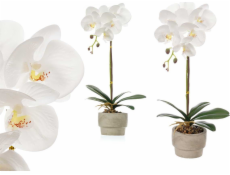 Ibergarden Umělá orchidej v cementovém květináči ORCHI, 56 cm