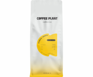 Kávovník Espresso Etiopie Oromia 1 kg
