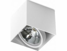 Stropní svítidlo Torino Alex 1x50W (GM4112)