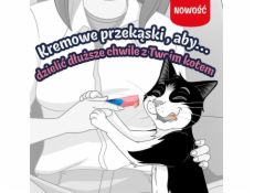 PURINA Felix Deli Moments Salmon - pamlsek pro kočky - 4x10g