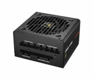 COUGAR PC zdroj GEX PRO 850W 80+ Gold, Fully, ATX3.1, PCI...