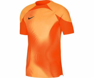 Nike Brankářské tričko Dri-FIT ADV Gardien 4 DH7760-819: ...