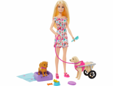 Mattel Sada panenky Barbie a psa v kočárku (HTK37)