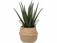 Atmosphera Umělá rostlina ALOE v košíku 37 cm