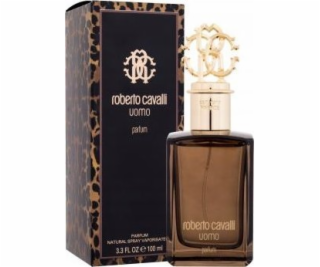 NoName ROBERTO CAVALLI Uomo Parfém sprej 100ml