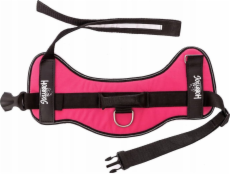 Hobbydog R4 JULLETTA RŮŽOVÝ POSTROJ