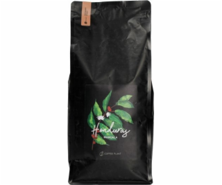Coffee Plant Kávovník KÁVOVÁ ROSTLINA - Honduras La Paz M...