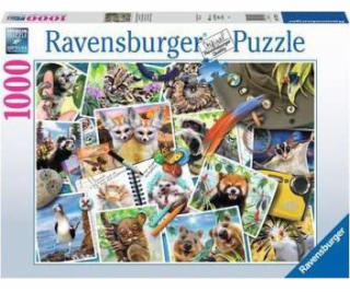 Ravensburger RAV puzzle 1000 zvířat světa 17322