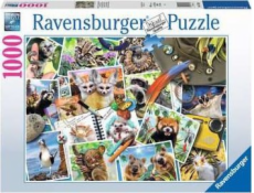 Ravensburger RAV puzzle 1000 zvířat světa 17322