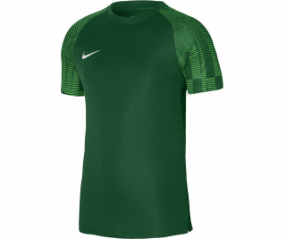 Nike Tričko Dri-Fit Academy DH8031 302