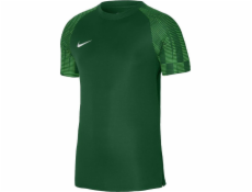 Nike Tričko Dri-Fit Academy DH8031 302