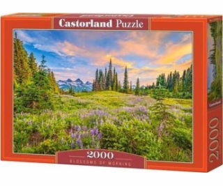Castorland Puzzle 2000 Květy rána