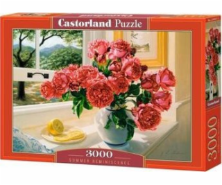 Castorland Puzzle 3000 Letní vzpomínka
