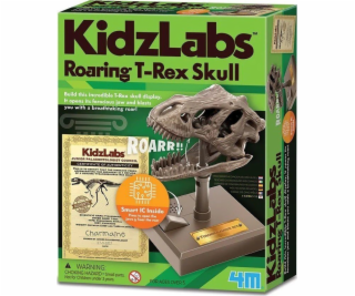 4M Vzdělávací sada Řvoucí lebka T-Rexe