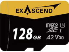 ExAscend Paměťová karta Catalyst MicroSDXC 128GB UHS-I/U3 A2 V30 (EX128GUSDU1-AD)