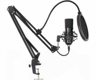 NoName Mikrofon AC-03