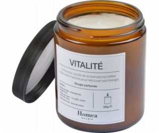 Homea Vonná svíčka ve sklenici MODERN APOTHECARY, O 7,5 cm