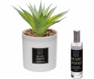 Atmosphera Umělá rostlina s vonným olejem NATURA SAUVAGE