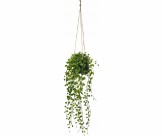 Atmosphera Umělá závěsná rostlina Peperomia, O 18 x 62 cm