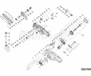 Dedra Pinion