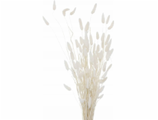 Boltze Dekorativní větvičky do vázy, sušené, 70 cm