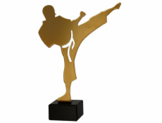Victoria Sport Kovová trofej s mramorovým podstavcem - Karate - karateka