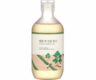 Round Lab Zklidňující tonikum s pelyňkem - 300 ml