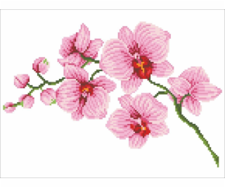 DIAMOND DOTZ Diamantová výšivka Diamond Dotz Orchidej 49x...